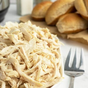 Shredded chicken on plate