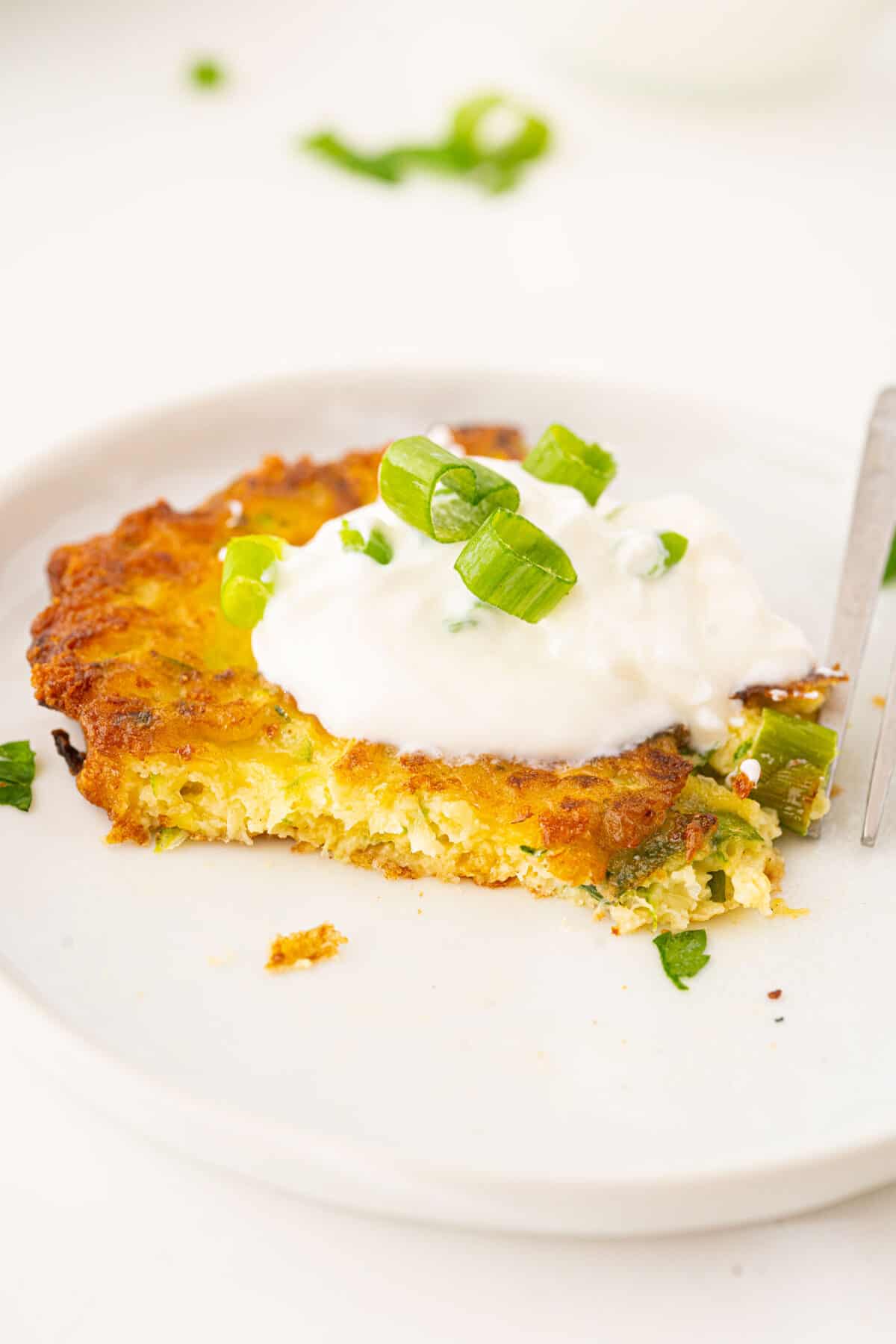 8_512x384 zucchini fritters on a plate